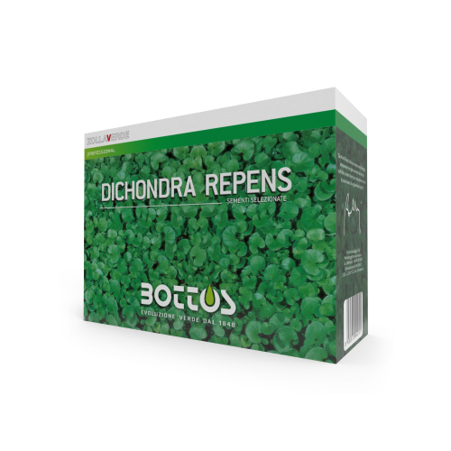 Bottos DICONDRA DICHONDRA REPENS Semi professionali prato tappeto erboso 1 KG