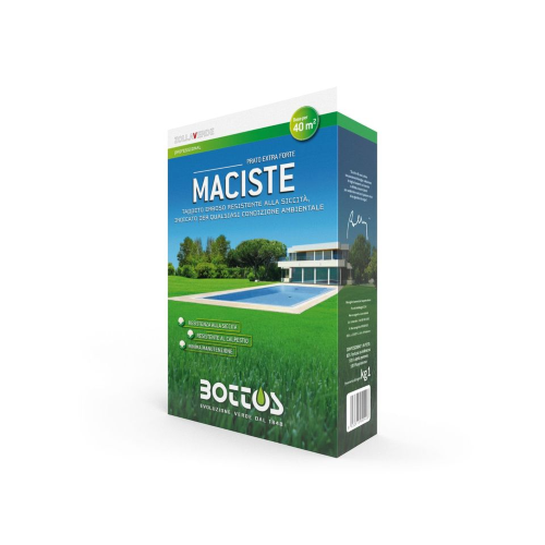 Bottos MACISTE Semi professionali prato tappeto erboso da 1 KG