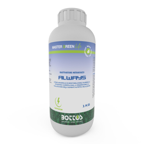 Bottos ALWAYS Concime fertilizzante prato RIATTIVATORE METABOLICO da 1 KG
