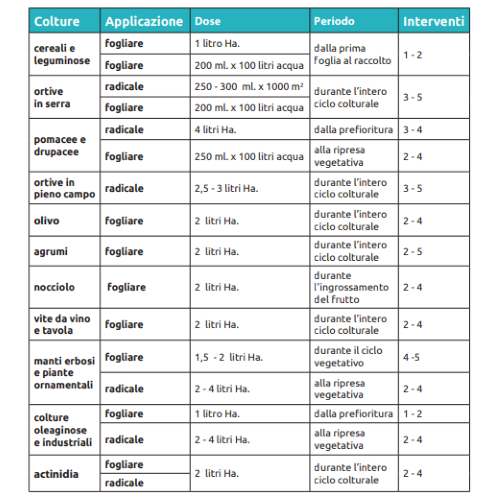 Bio ALT SOLUZIONE SCU Bioinduttore Ossicloruro Rame Zolfo Peronospora Oidio 1,5 KG - immagine 2