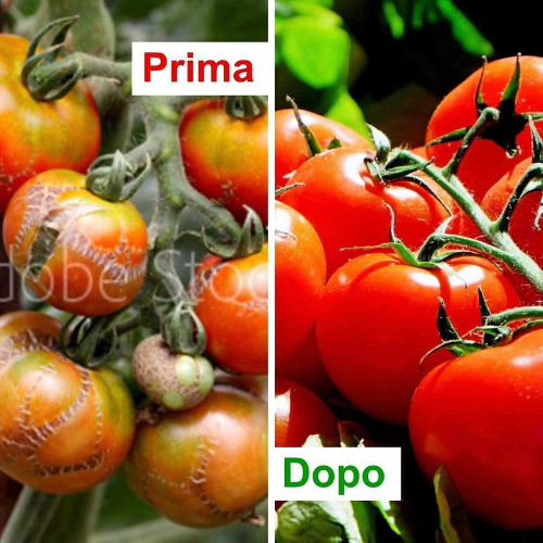 Bio ALT PITMAG Concime Calcio Magnesio prevenzione marciume pomodori 1 LT - immagine 4
