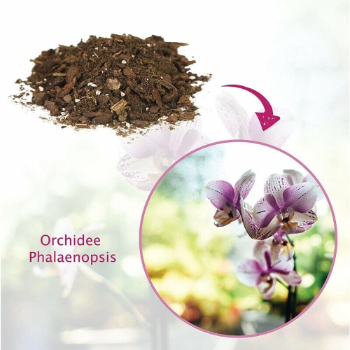 Cifo TORFY ORCHIDEE Terra terriccio substrato 3 LT - immagine 4