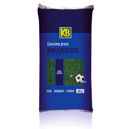 KB EVERGREEN RINVERDENTE Fe+N+S concime antimuschio con ferro per prato 5 KG