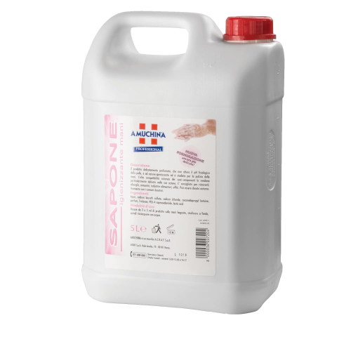 Amuchina SAPONE IGIENIZZANTE MANI Igienizzante profumo delicato 5 LT