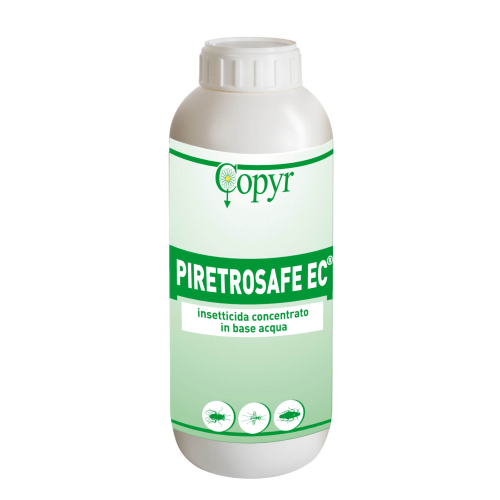Copyr PIRETRO SAFE Insetticida concentrato piretro zanzare pulci blatte 1 LT