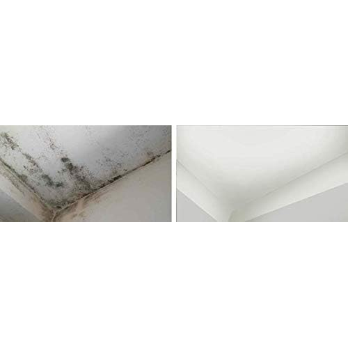 Tixe PARETI VIVE Idropittura anticondensa antimuffa umido bianca opaca 1 LT 1 LITRO - immagine 4
