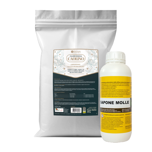 Ossian CAOLINO MICRONIZZATO Rimedio naturale mosca olivo 25 KG + Sapone Molle 1 LT