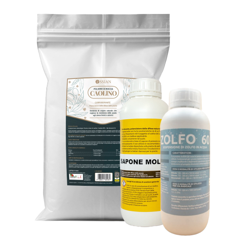 Ossian CAOLINO MICRONIZZATO Rimedio naturale mosca olivo 10 KG + Zolfo 60 1 LT+ Sapone Molle 1 LT