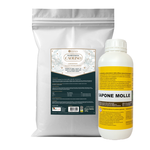 Ossian CAOLINO MICRONIZZATO Rimedio naturale mosca olivo 10 KG + Sapone Molle 1 LT