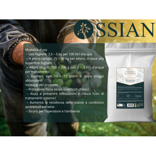2 X Ossian CAOLINO MICRONIZZATO Rimedio naturale mosca olivo 10 KG - immagine 4
