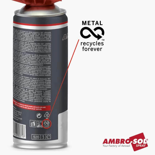 Ambro-Sol PULITORE CORPI FARFALLATI Collettori corpi aspirazione motori 400 ML - immagine 5