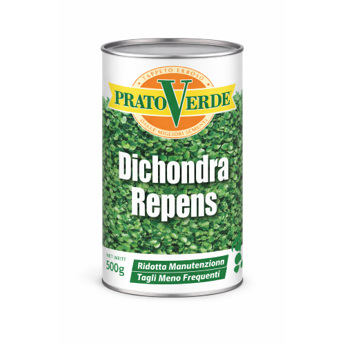 Prato Verde DICHONDRA REPENS Semi sementi prato per tappeti erbosi 500 gr