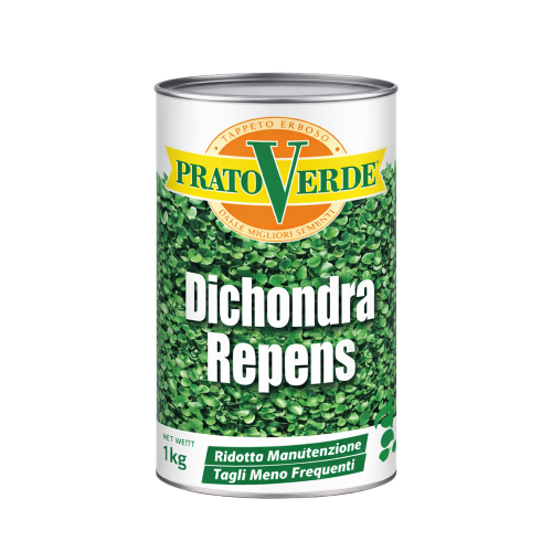 Prato Verde DICHONDRA REPENS Semi sementi prato per tappeti erbosi 1 KG
