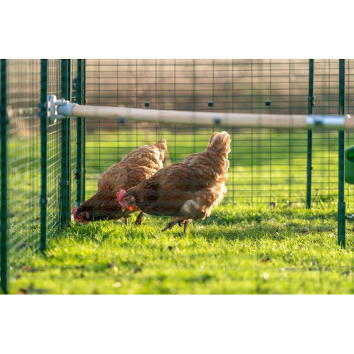 Linfa BADO Insetticida polvere insetti striscianti pulci zecche formiche 1 KG - immagine 5