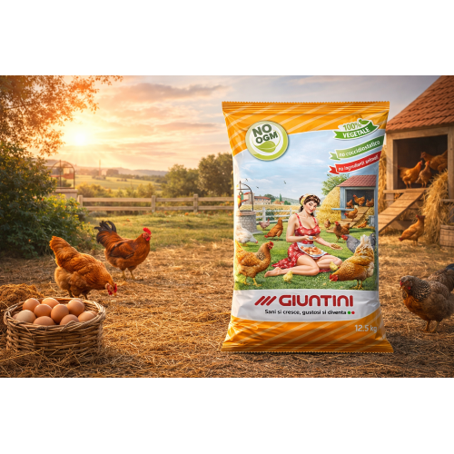 Giuntini COCCODORO Mangime galline ovaiole alta qualita' No Ogm 25 KG - immagine 3