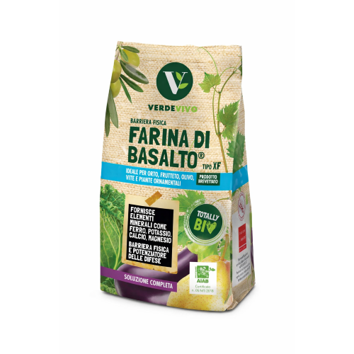 VerdeVivo FARINA DI BASALTO Barriera fisica Insetti Funghi orto frutta 1 KG