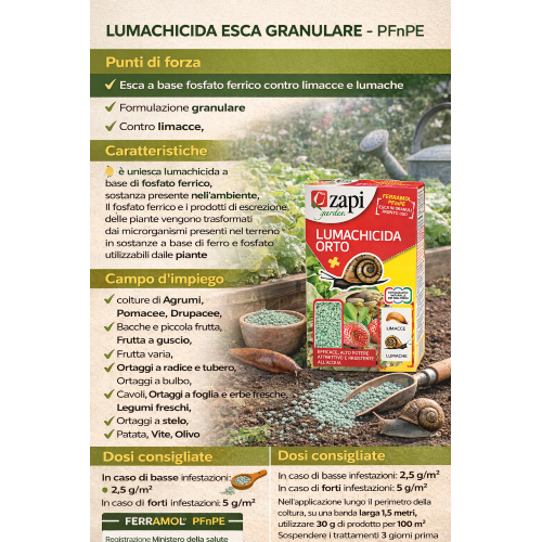 Zapi FERRAMOL PFnPE Esca lumachicida Fosfato ferrico biologico orto 1 KG - immagine 2