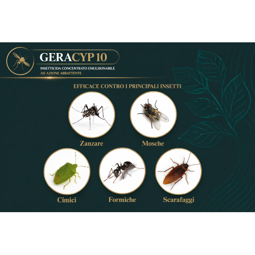3 X Ossian GERACYP 10 Insetticida Cipermetrina 10% Geraniolo mosche zanzare da 1 LT - immagine 5