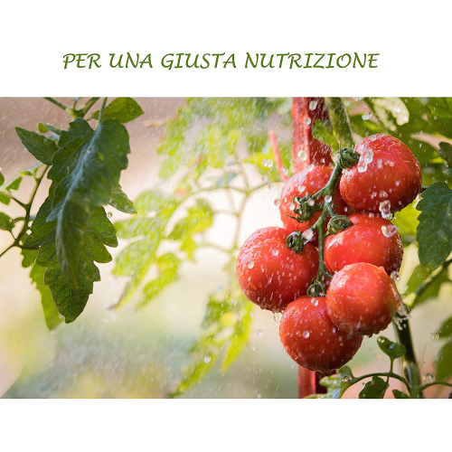 Bio ALT ORTO Concime fogliare NPK 10.8.15 con microelementi chelati 1 LT 1 LITRO - immagine 5